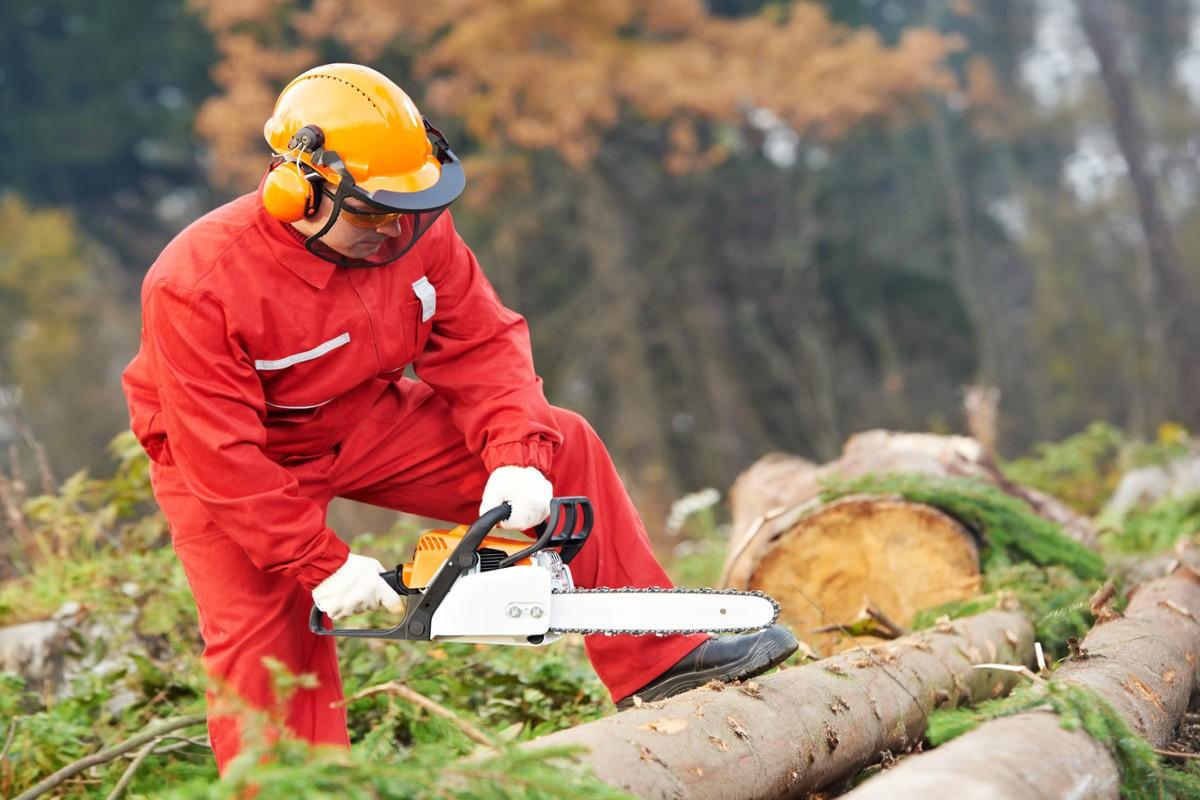 Logging Industry Workers