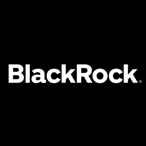 BlackRock Summer Analyst Program logo