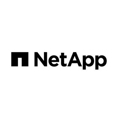NetApp Americas Internship Program logo